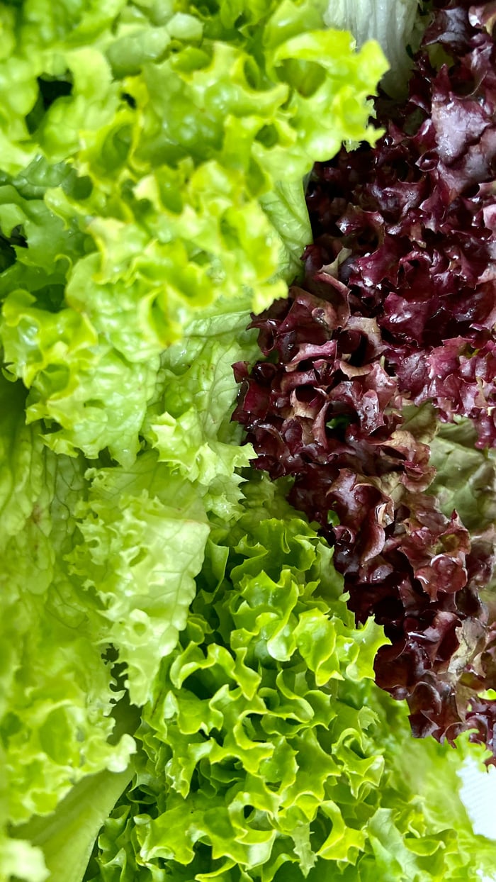 Salad Bowl Planter image