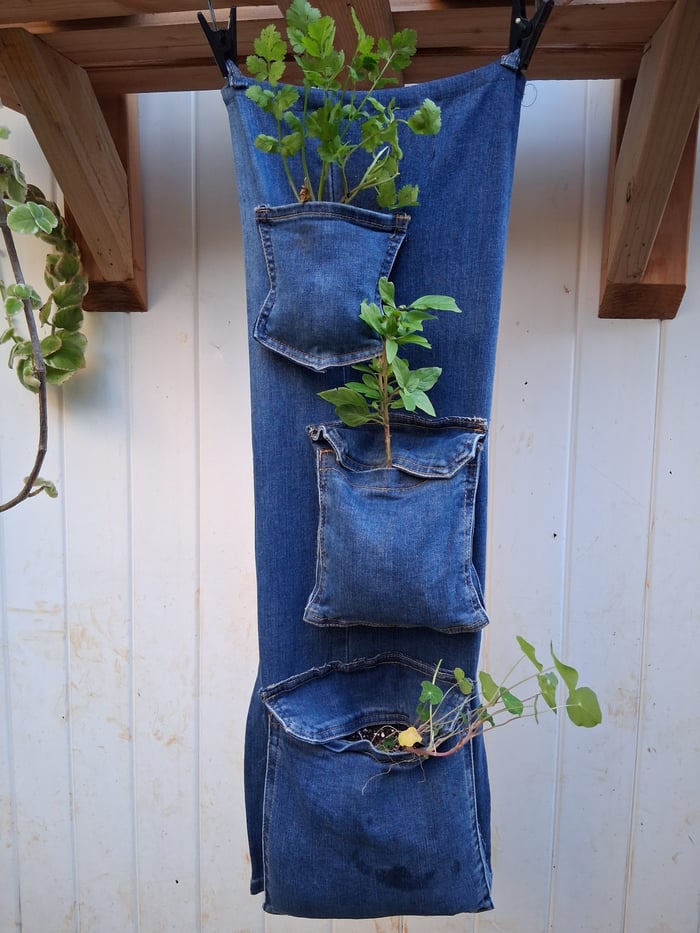 Plant Pants image